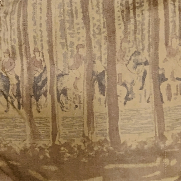 Z Brand Pleated A-line Skirt w/Belt S - Picture 4 of 6